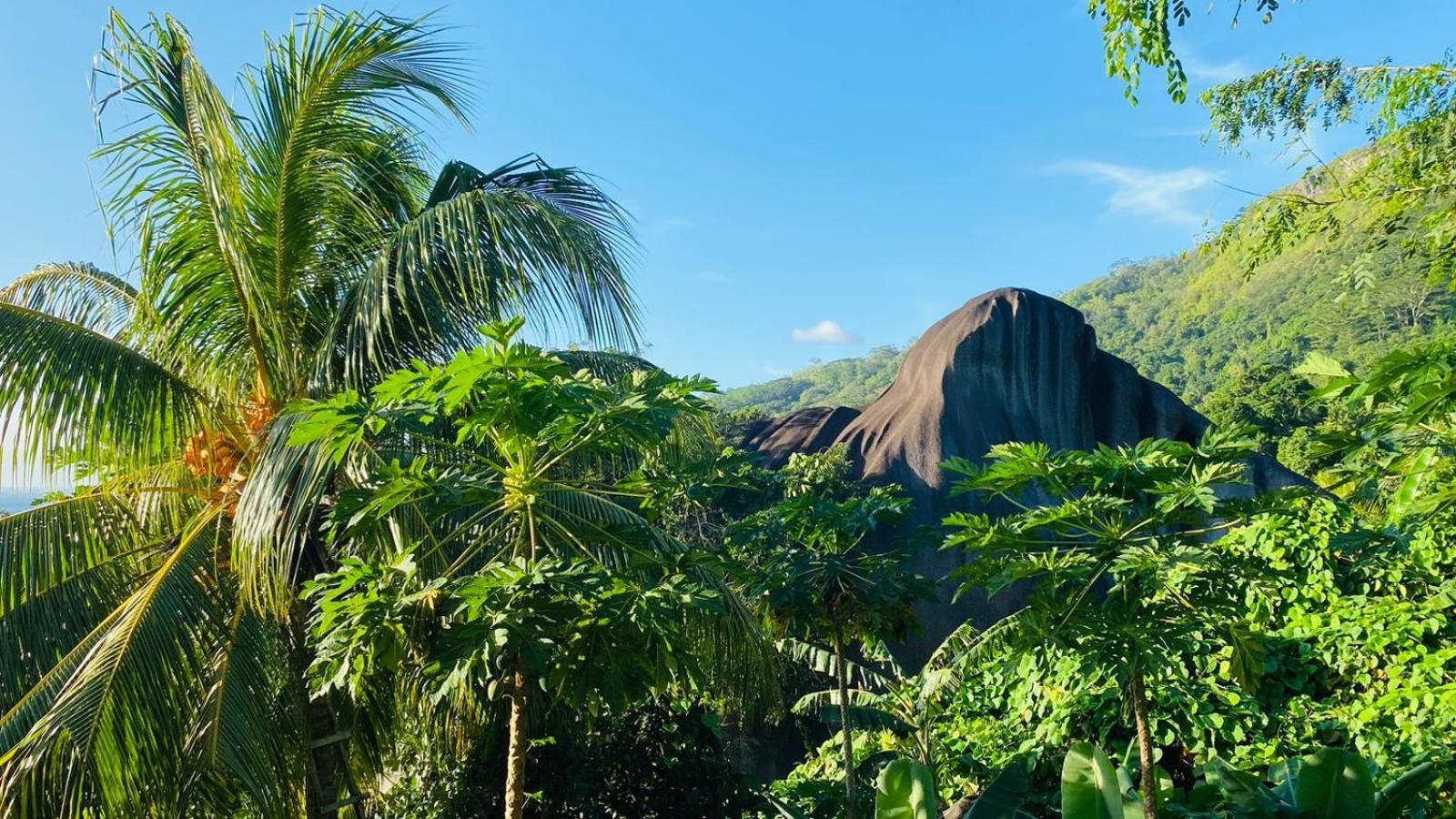 Josies Cottage Beau Vallon  Exterior photo